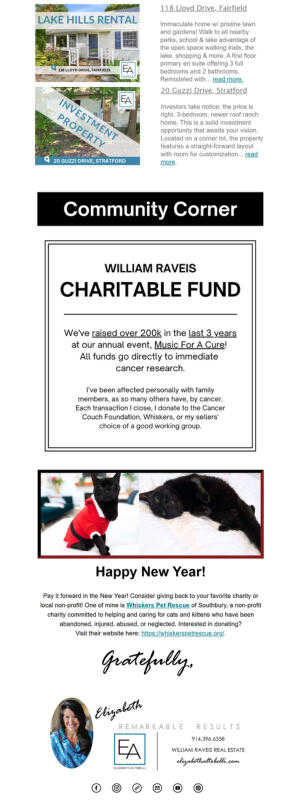 Sheryl Chan January Email Campaign D