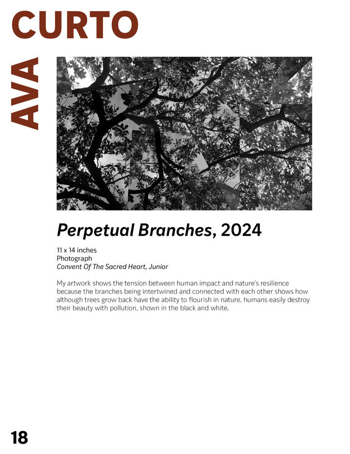 Sheryl Chan MoCA Catalog Artist Page C